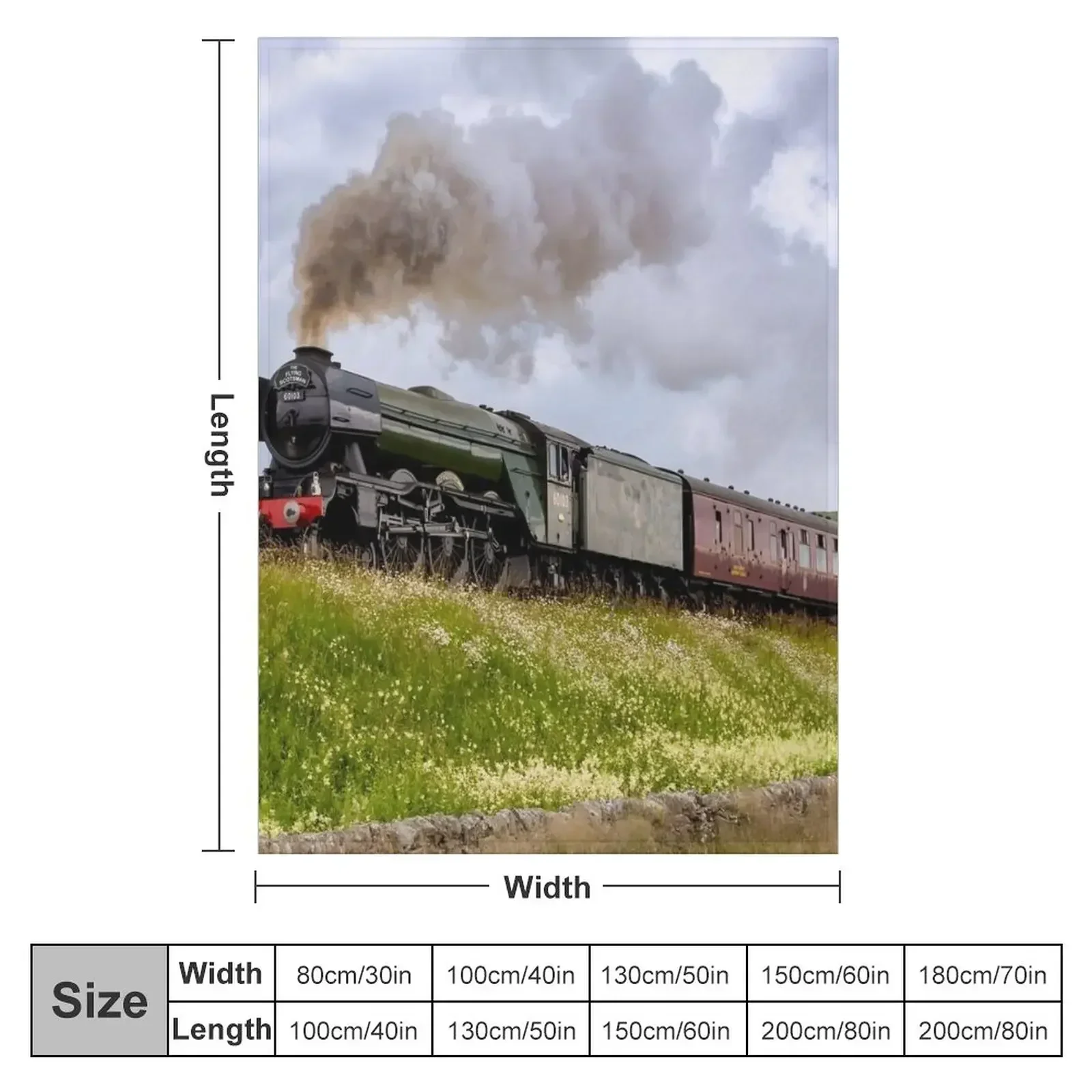 The Flying Scotsman in Yorkshi – 3D Printing Yorkshire recenzja i cena